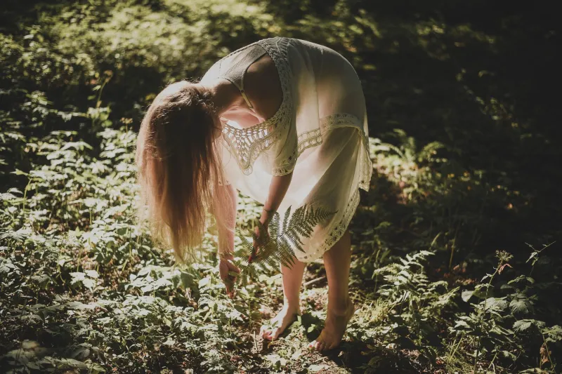 What the Land Is Trying to Feed You: A Nomad's Guide to Reading the Wild